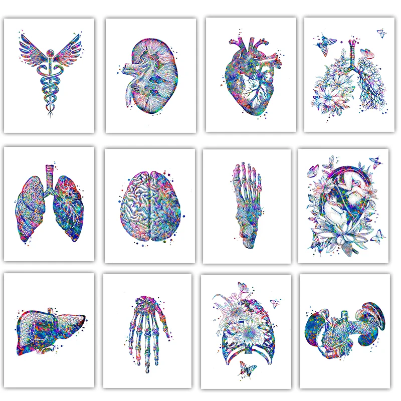 Medical Lab Posters - Affiche d'anatomie médicale pour décor de