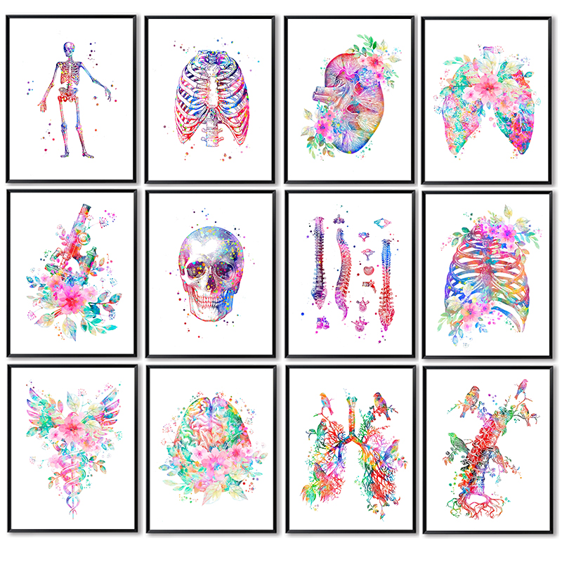 Medical Lab Posters - Affiche médicale d'anatomie sans cadre, motif