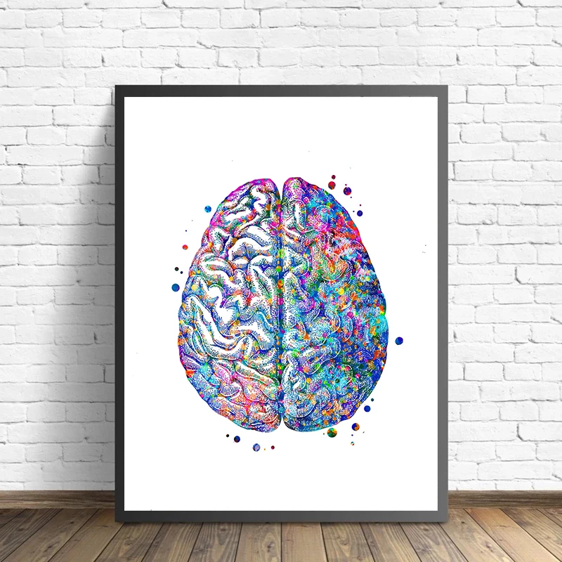 Affiche d'anatomie médicale po - Medical Lab Posters avis et prix
