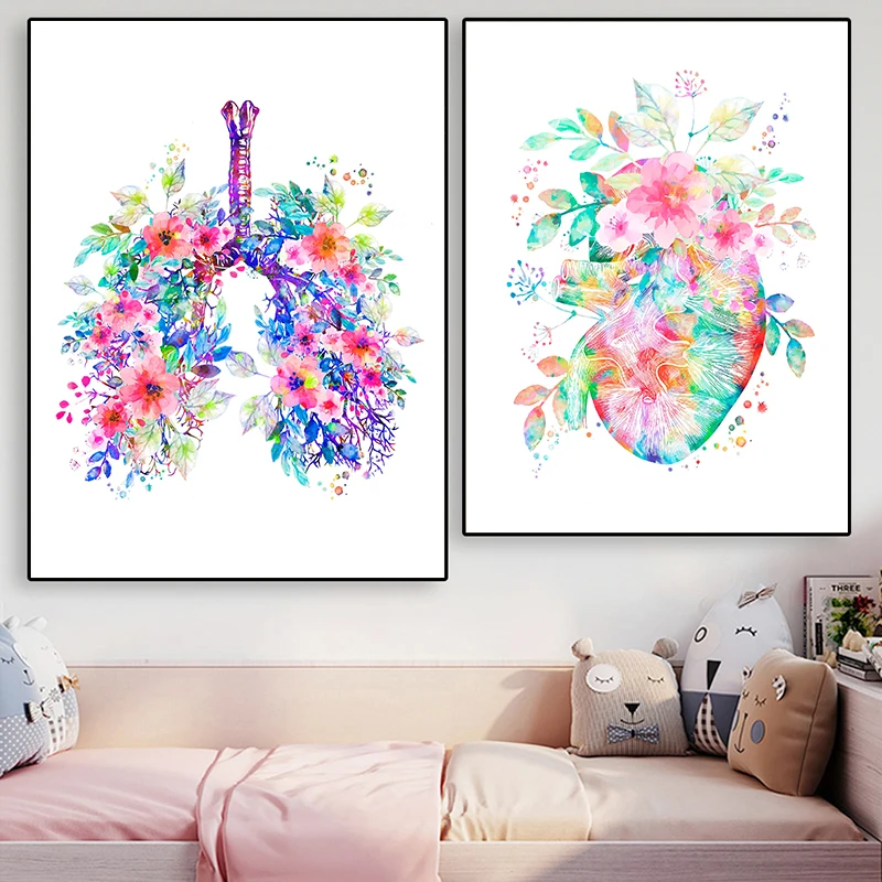 Affiche médicale d'anatomie, m - Medical Lab Posters avis et prix