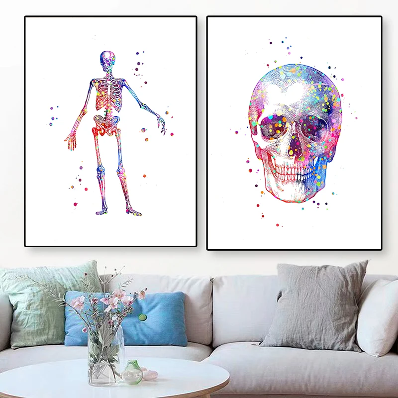Affiche médicale d'anatomie sa - Medical Lab Posters avis et prix