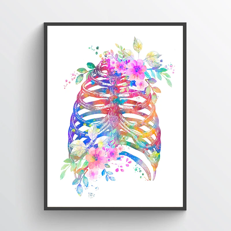 Affiche médicale d'anatomie sa - Medical Lab Posters avis et prix